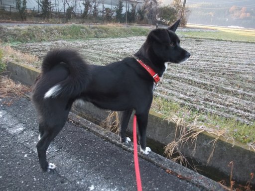 ファイル 326-2.jpg