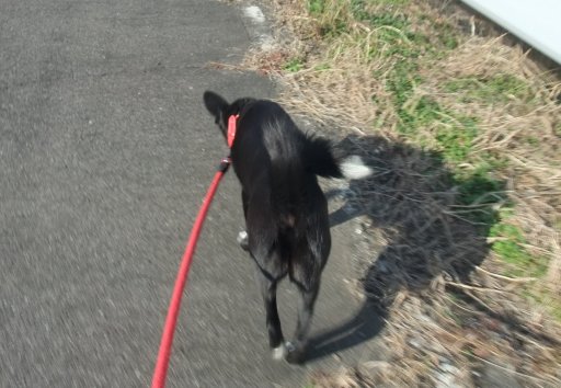 ファイル 326-3.jpg