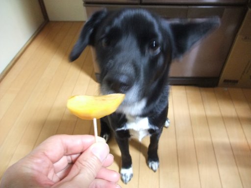 ファイル 330-2.jpg