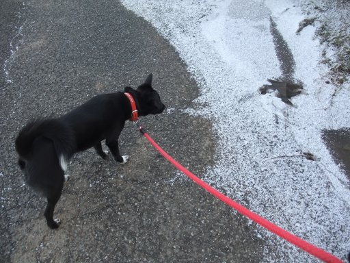 ファイル 346-3.jpg