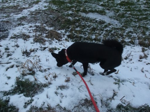 ファイル 346-4.jpg