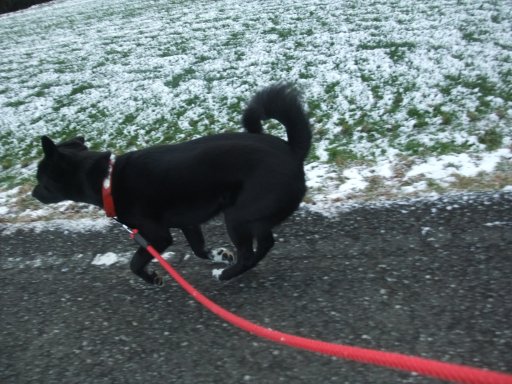 ファイル 346-5.jpg