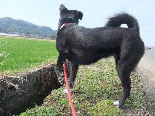 ファイル 348-2.jpg