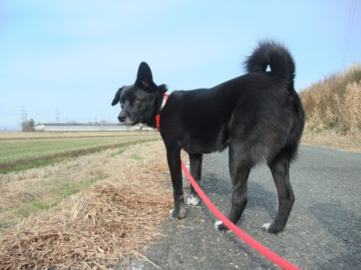 ファイル 348-3.jpg