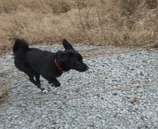 ファイル 348-4.jpg