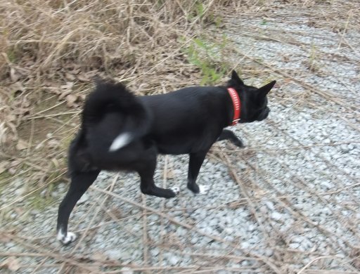 ファイル 348-5.jpg