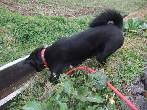 ファイル 353-5.jpg