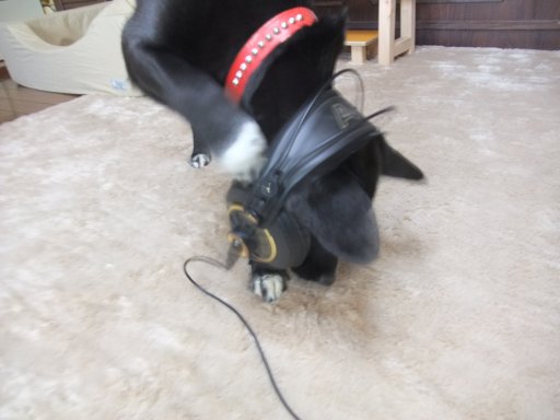 ファイル 357-3.jpg