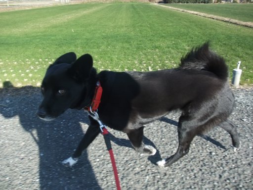 ファイル 357-5.jpg