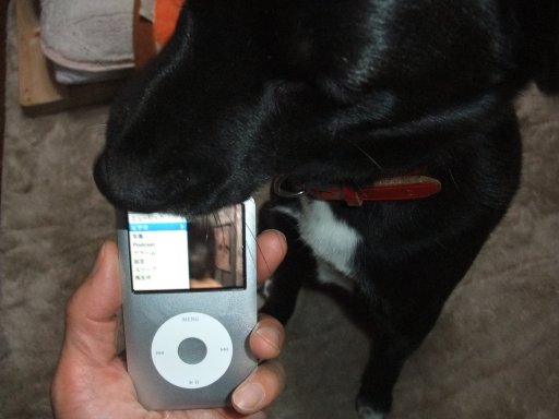 ちまちま（iPod classic編）