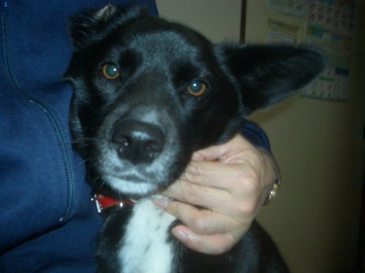 針供養の日に寄せて