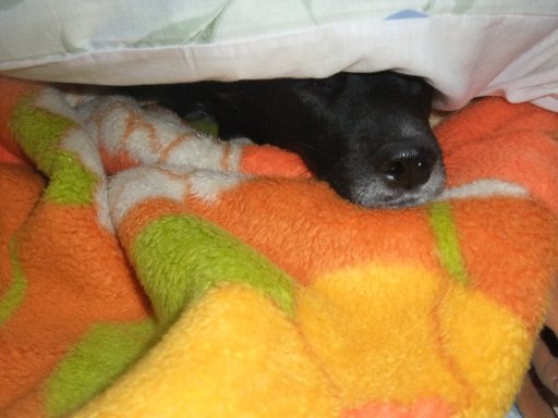 ファイル 362-2.jpg