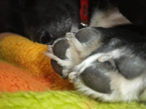 ファイル 377-2.jpg