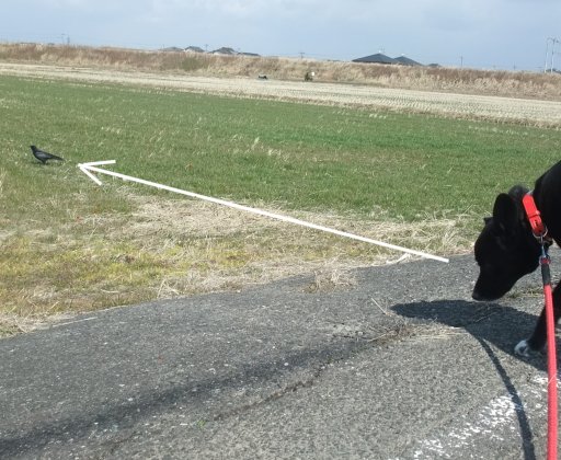 ファイル 378-2.jpg