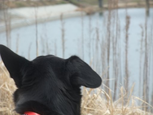 ファイル 379-2.jpg