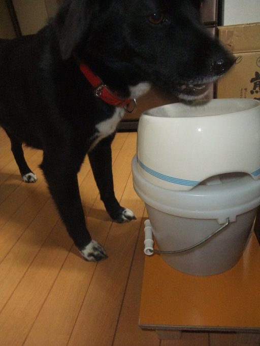 ファイル 382-2.jpg