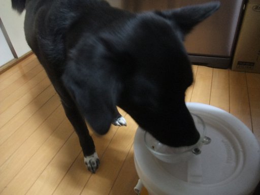 弥生三月　始まりは雨