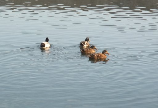 ファイル 396-4.jpg