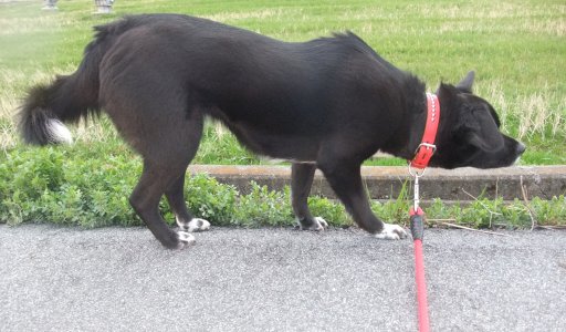 ファイル 397-2.jpg