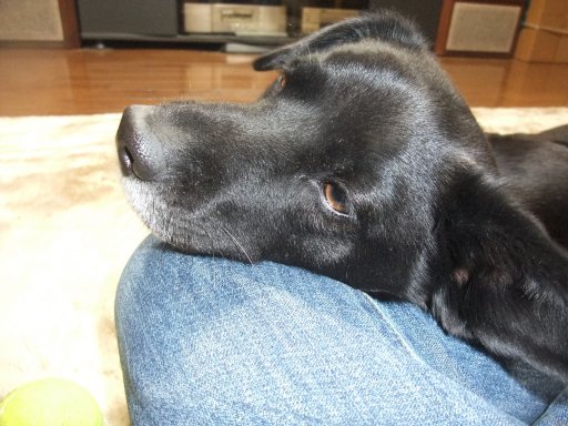 ファイル 397-3.jpg