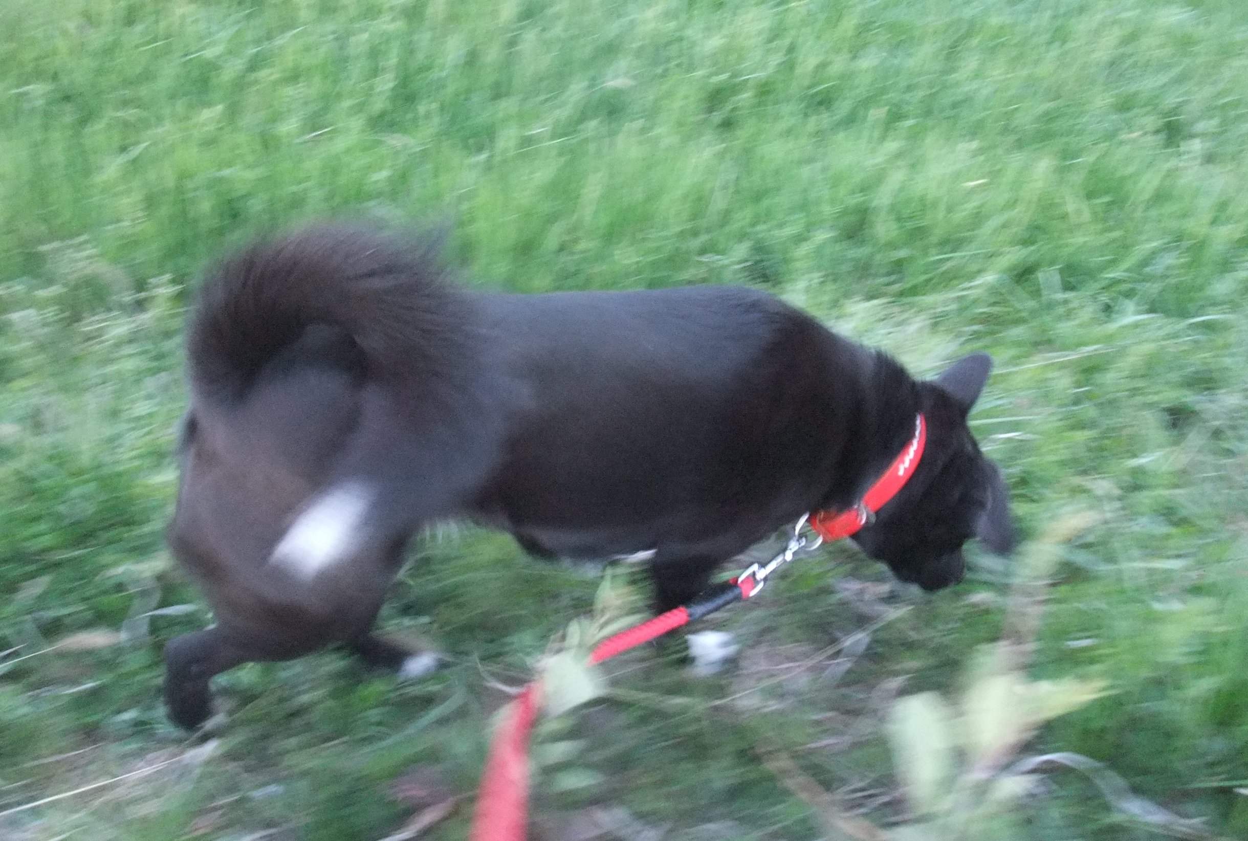 ３．１１大地震 3