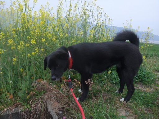 くもり時々小雨のち雨