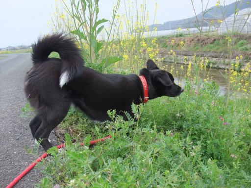 ファイル 420-3.jpg