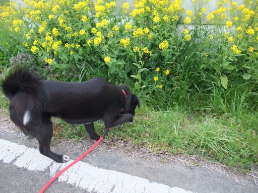 ファイル 420-4.jpg