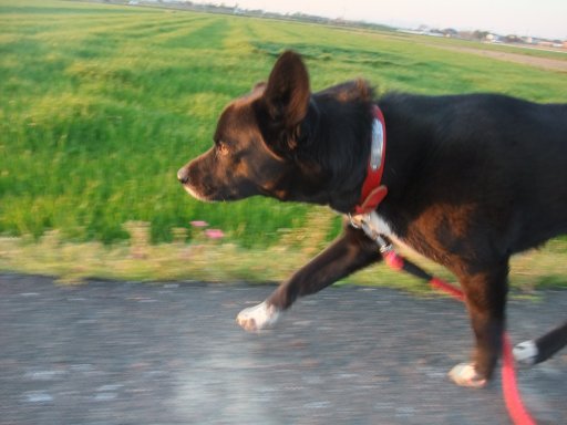 ファイル 422-2.jpg