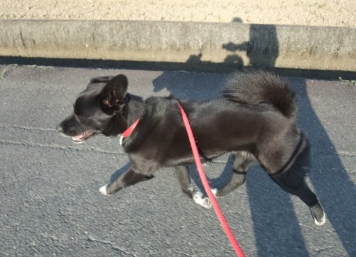 ファイル 424-2.jpg