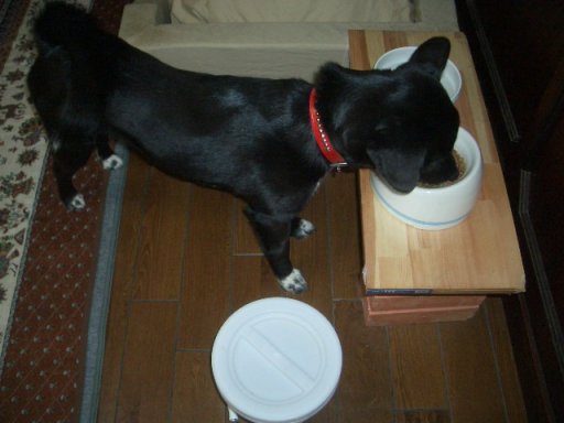 ばり元気(復活編)