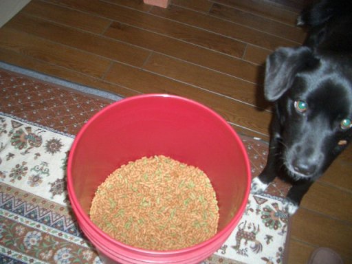 ファイル 43-3.jpg