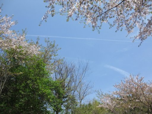 ファイル 430-2.jpg