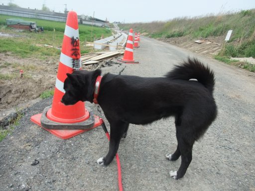 姫の視察（工事編）