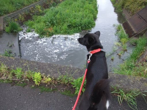 ごろねんウィーク（安息日）