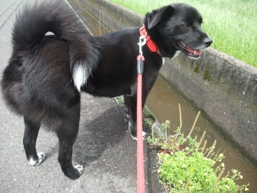 ファイル 444-2.jpg