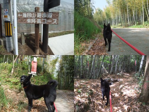 ごろねんウィーク（姫の山歩き）