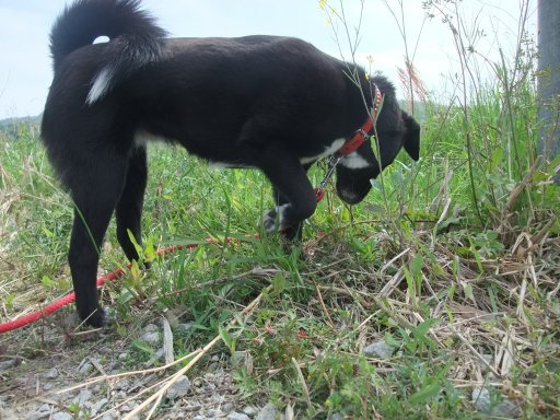 ファイル 448-2.jpg