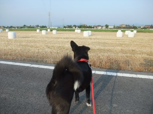 ファイル 450-2.jpg