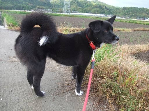 ファイル 453-3.jpg