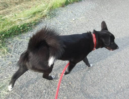 天気晴朗ナレドモ風強シ