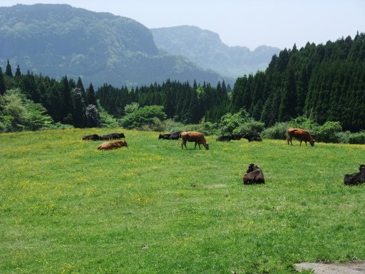 ファイル 455-3.jpg