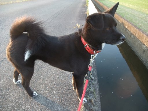 ファイル 458-2.jpg