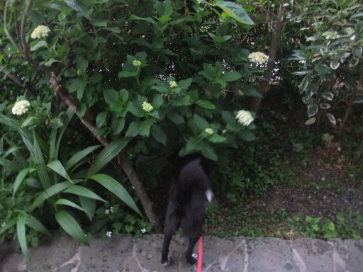 雨のち曇りのちすっきり