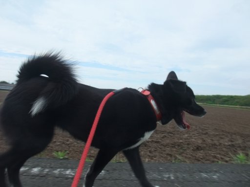 ファイル 477-2.jpg