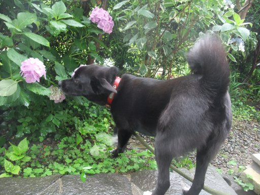 雨の日は断食でぇ