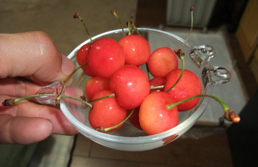 真っ赤なさくらんぼ