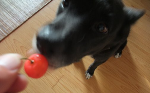 ファイル 511-2.jpg