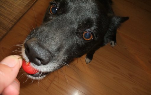 ファイル 511-3.jpg