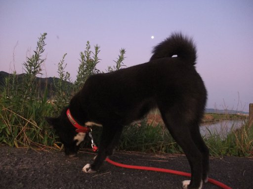 海の日．．イヴ